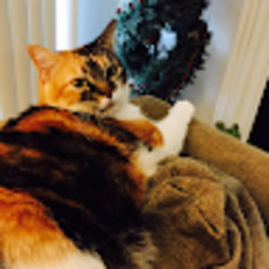 Meet your Posher, Kathy